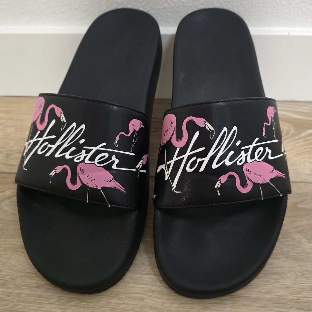 Hollister Flamingo Slides